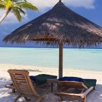 Beach+parasol